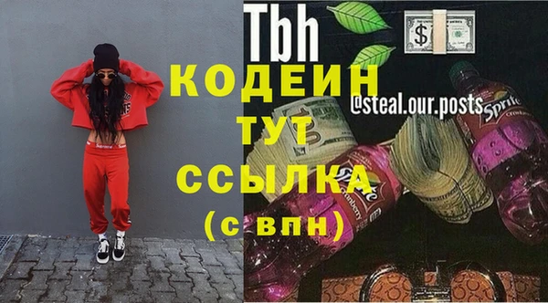 соль ск Пересвет