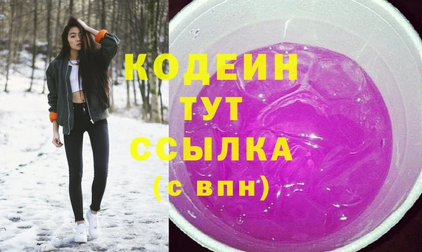 гашик Переславль-Залесский